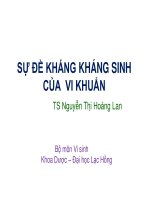 Bài giảng Sự đề kháng kháng sinh của vi khuẩn - TS. Nguyễn Thị Hoàng Lan