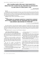 Điều trị bệnh nhân viêm gan C mạn genotype 6 bằng phác đồ 3 thuốc Peg-IFN, ribavirin và sofosbuvir ca lâm sàng và tổng quan y văn