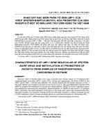 Khảo sát đặc điểm phân tử gen LMP-1 của virut epstein-barr và methyl hóa promoter của gen RASSF1A ở một số mẫu ung thư vòm họng tại Việt Nam
