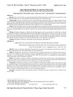 Thực hiện bộ mô hình các giai đoạn phẫu tích xương thái dương bằng kỹ thuật plastination