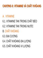 Bài giảng Dinh dưỡng học: Chương 6 - Hồ Xuân Hương