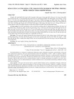 Báo cáo ca lâm sàng: Tắc mạch não nghịch thường trong phẫu thuật thay khớp háng