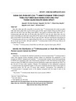 Đánh giá phân bố của 131I-nimotuzumab trên chuột thiếu hụt miễn dịch mang khối ung thư thanh quản người bằng SPECT