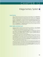 Ebook diFiore''s atlas of histology - With functional correlations (12th edition): Part 2