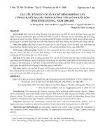 Các yếu tố nguy cơ của các bệnh không lây (tăng huyết áp, đái tháo đường týp 2) ở người lớn tỉnh Bình Dương, năm 2006 2007