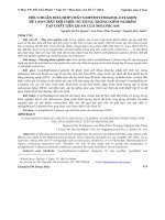 Tiêu chuẩn hóa hợp chất 5-methylthiazol-2-ylamin để làm chất đối chiếu sử dụng trong kiểm nghiệm tạp chất liên quan của meloxicam