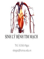 Bài giảng Sinh lý bệnh tim mạch