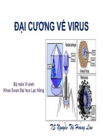 Bài giảng Đại cương về virus - TS. Nguyễn Thị Hoàng Lan