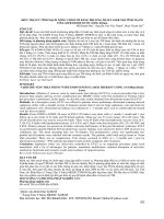 Điều trị suy tĩnh mạch nông chi dưới bằng phương pháp laser nội tĩnh mạch với laser diode bước sóng 810nm