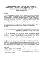 Tình hình kháng kháng sinh của vi khuẩn gram âm sinh men beta -lactamases phổ mở rộng gây nhiễm khuẩn bệnh viện tại Bệnh viện Bệnh nhiệt đới từ tháng 5/2002 đến tháng 5/2004