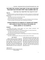 Đặc điểm tổn thương thận ghép có dấu hiệu phản ứng thải ghép dựa vào sinh thiết thận tại Bệnh viện 103