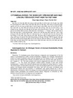 Cytomegalovirus: Tác nhân gây viêm nội mô giác mạc lần đầu tiên được phát hiện tại Việt Nam