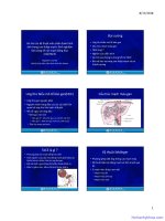 Vai trò kỹ thuật viên chẩn đoán hình ảnh trong can thiệp mạch: Kinh nghiệm lâm sàng về nút mạch bằng hóa chất (TACE) - Nogueira Li Cecilia