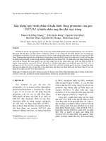 Xây dựng quy trình phân tích đa hình vùng promoter của gen UGT1A1 ở bệnh nhân ung thư đại trực tràng