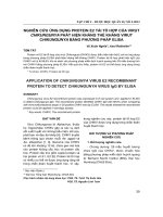 Nghiên cứu ứng dụng protein E2 tái tổ hợp của virut chikungunya phát hiện kháng thể kháng virut chikungunya bằng phương pháp elisa