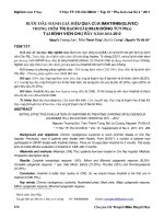 Bước đầu đánh giá hiệu quả của imatinib(glivec) trong điều trị bạch cầu mạn dòng tủy Ph(+) tại Bệnh viện Chợ Rẫy năm 2011-2012