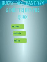 Bài giảng Hướng dẫn chẩn đoán và điều trị hen phế quản