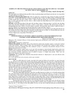 Nghiên cứu phương pháp giảm đau bằng bupivacain truyền liên tục vào khớp sau phẫu thuật nội soi khớp vai