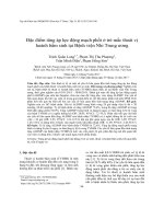 Đặc điểm tăng áp lực động mạch phổi ở trẻ mắc thoát vị hoành bẩm sinh tại Bệnh viện Nhi Trung ương