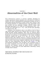 Ebook Respiratory physiology for the intensivist: Part 2