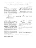 Hồi sức bệnh nhân chấn thương sọ não nặng tại khoa hồi sức ngoại thần kinh - BVCR
