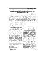 Mối liên quan giữa kháng thể kháng RO/SSA và đặc điểm lâm sàng, cận lâm sàng của bệnh nhân lupus ban đỏ hệ thống