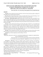 Khảo sát đặc điểm hình thái, thành phần hoá học và hoạt tính kháng vi sinh vật của địa y Dirinaria applanata (Feé) D. D. Awasthi