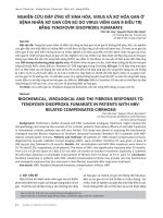 Nghiên cứu đáp ứng về sinh hóa, virus và xơ hóa gan ở bệnh nhân xơ gan còn bù do virus viêm gan b điều trị bằng tenofovir disoproxil fumarate