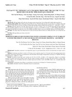 Tái tạo vú tức thì bằng vạt lưng rộng trong điều trị ung thư vú tại Bệnh viện Ung Bướu TP.HCM kết quả thẩm mỹ