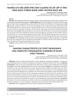 Nghiên cứu đặc điểm hình ảnh X quang và cắt lớp vi tính lồng ngực ở bệnh nhân chấn thương ngực kín