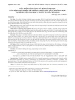 Đặc điểm lâm sàng và hình ảnh học của bệnh teo nhiều hệ thống: nhận xét về 13 trường hợp tại Bệnh viện Đại học Y Dược TP. Hồ Chí Minh