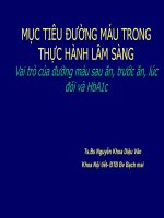 Bài giảng Mục tiêu đường máu trong thực hành lâm sàng: Vai trò của đường máu sau ăn, trước ăn, lúc đói và HbA1c