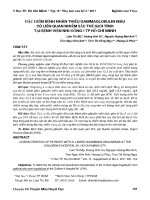 Đặc điểm bệnh nhân thiếu gamma globulin máu có liên quan nhiễm sắc thể giới tính tại Bệnh viện Nhi Đồng 1 Thành phố Hồ Chí Minh