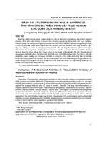 Đánh giá tác dụng kháng khuẩn in vitro và tính kích ứng da trên động vật thực nghiệm của dung dịch mafenid acetat