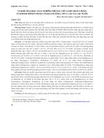 Vi khuẩn học của nhiễm trùng vết loét bàn chân ở nhóm bệnh nhân tháo đường típ 2