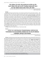 Tác động của siêu âm doppler xuyên sọ lên quá trình tiêu sợi huyết ở bệnh nhân đột quỵ do tắc động mạch não giữa cấp tính