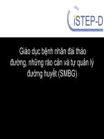 Bài giảng Giáo dục bệnh nhân đái tháo đường: Những rào cản và tự quản lý đường huyết (SMBG)