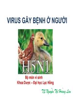 Bài giảng Virus gây bệnh ở người - TS. Nguyễn Thị Hoàng Lan