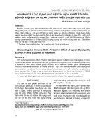 Nghiên cứu tác dụng bảo vệ của dịch chiết tỏi đen đối với một số cơ quan lympho trên chuột bị chiếu xạ