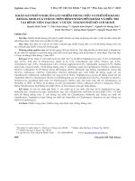 Khảo sát phổ vi khuẩn gây nhiễm trùng tiểu và phổ đề kháng kháng sinh của chúng trên bệnh nhân đến khám và điều trị tại Bệnh viện Đại học Y Dược TP.HCM