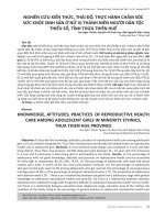 Nghiên cứu kiến thức, thái độ, thực hành chăm sóc sức khỏe sinh sản ở nữ vị thành niên người dân tộc thiểu số, tỉnh Thừa Thiên Huế