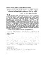 Kết quả điều trị phẫu thuật ung thư biểu mô tế bào gan kích thước lớn tại Bệnh viện Hữu nghị Việt Đức