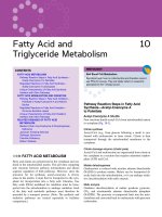 Ebook Elsevier’s integrated review biochemistry (second edition): Part 2