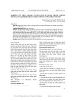 Nghiên cứu thực trạng và kết quả sử dụng thuốc chống trầm cảm tại Bệnh viện Đa khoa Trung ương Thái Nguyên