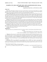 Nghiên cứu bào chế viên nén chứa metronidazol 250mg nổi trong dạ dày