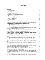 Những biện pháp phát triển đội ngũ giảng viên tại trường cao đẳng sư phạm ngô gia tự bắc giang trong giai đoạn hiện nay 