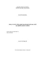 Thuật toán tổng hợp mạch khả đảo đa ngõ ra không hoàn chỉnh