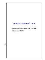 Giáo án Chương trình mô-đun: Đại cương về tin học (MĐ 01)