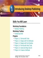 Lecture Introduction to desktop publishing with digital graphics: Chapter 1 - Kevin Niemeyer