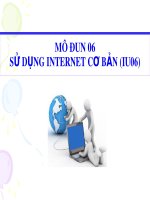 Bài giảng Mô đun 06: Sử dụng internet cơ bản (IU06)